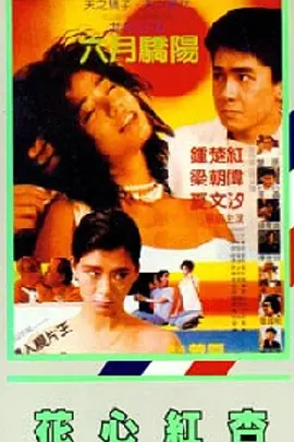 BD国语高清完整版